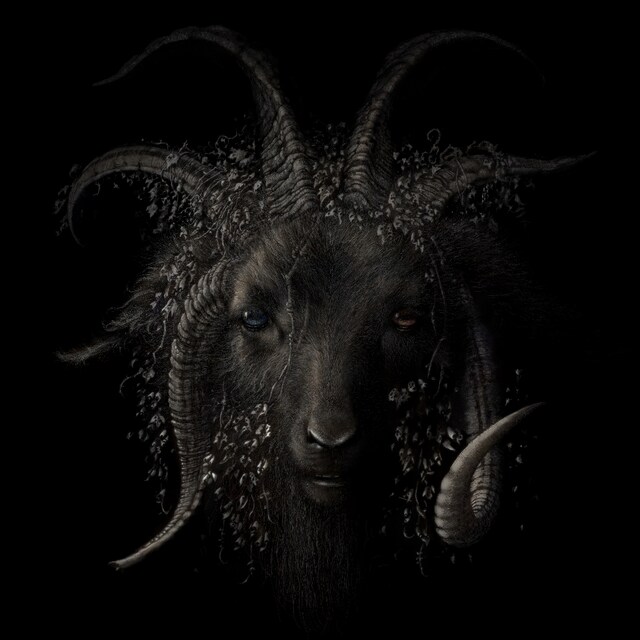 青木裕「Lost in Forest」ジャケット