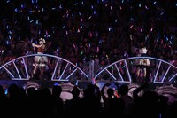 petit milady (c) Animelo Summer Live 2016/MAGES.