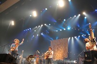 平井大「Live Tour 2016 ～Life is Beautiful～」東京・昭和女子大学人見記念講堂公演の様子。（写真提供：エイベックス・ミュージック・クリエイティヴ）
