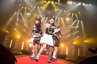 わーすたによるライブの様子。（撮影：稲垣謙一）