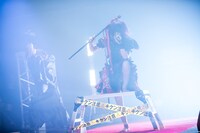 椎名ぴかりんによるライブの様子。（撮影：稲垣謙一）