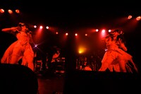 「The Idol Formerly Known As LADYBABY　～Let's go Crazy～」の様子。（撮影：ペータ）