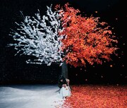 Aimer「茜さす / everlasting snow」通常盤ジャケット