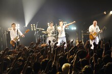 ジャパハリネット（Photo by Yuji ”本田本” Honda）