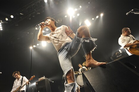 ジャパハリネット（Photo by Yuji ”本田本” Honda）