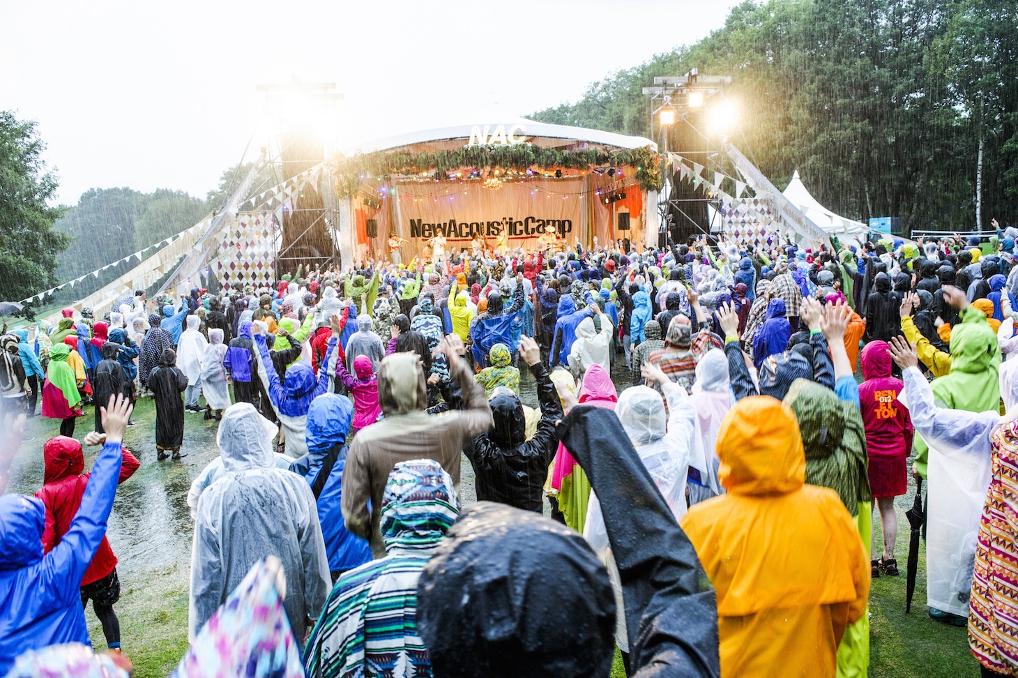 「New Acoustic Camp 2016」でのEGO-WRAPPIN'のライブの様子。  （c）New Acoustic Camp