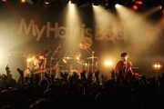 My Hair is Bad「ホームランツアー 2016」東京・LIQUIDROOM公演の様子。（Photo by MASANORI FUJIKAWA）