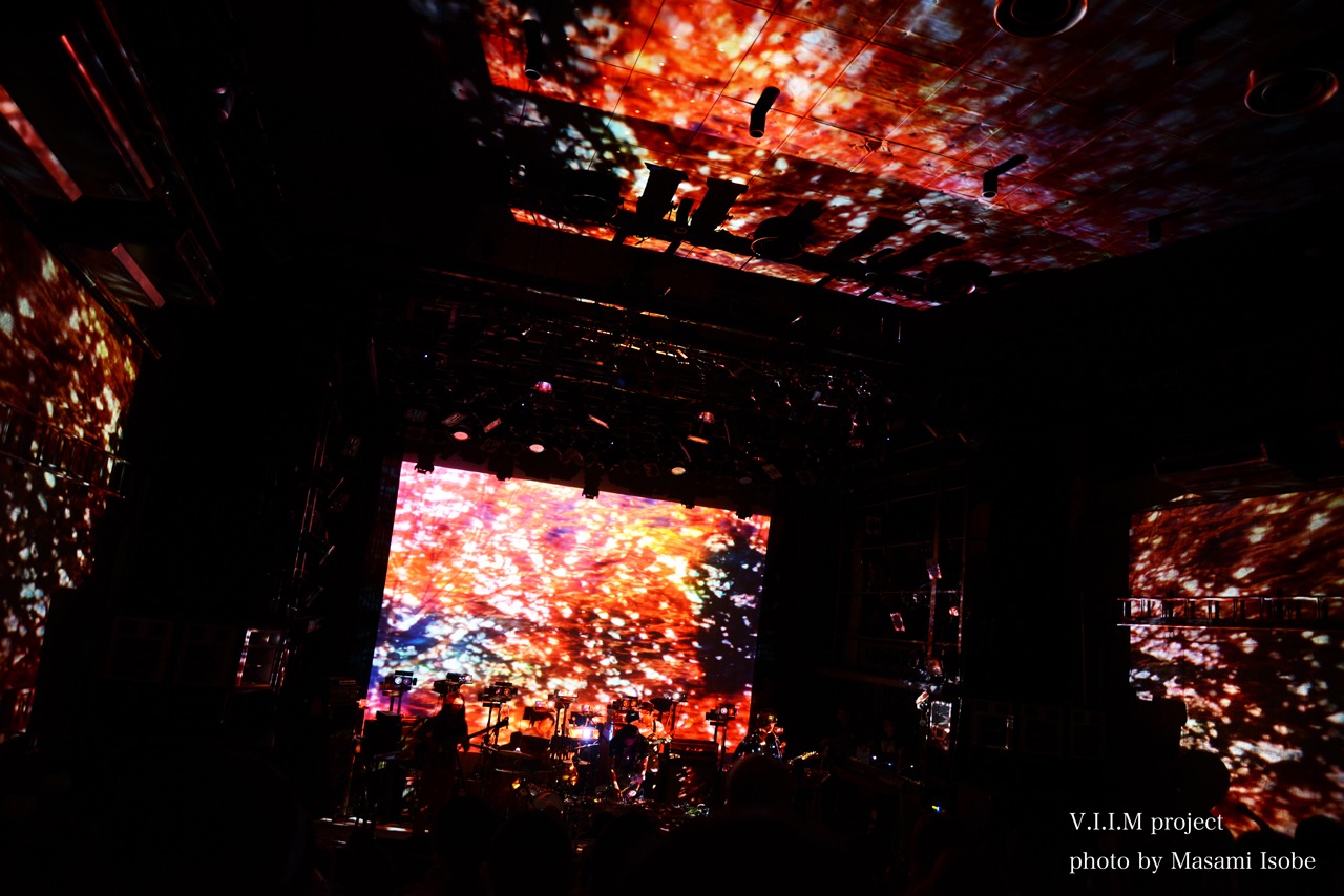 rokapenis企画「V.I.I.M project」の様子。