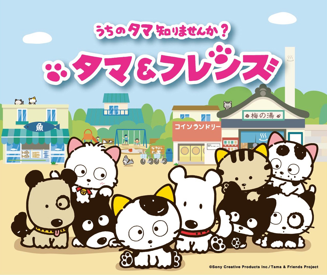 テレビアニメ「タマ＆フレンズ ～うちのタマ知りませんか？～」キービジュアル