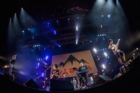 キュウソネコカミ（Photo by HayachiN）