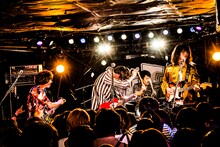 夜の本気ダンス（撮影：浜野カズシ）