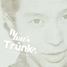 Keishi Tanaka「What's A Trunk?」アナログジャケット
