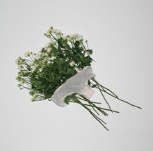 あいみょん「生きていたんだよな」ジャケット