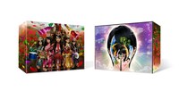 ももいろクローバーZ「MOMOIRO CLOVER Z DOME TREK 2016 “AMARANTHUS/白金の夜明け”」DVDボックスセット外観