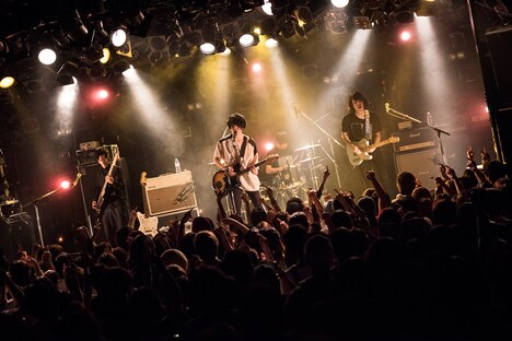 polly（Photo by Daisuke Miyashita）