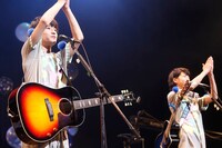 さくらしめじ（撮影：埼玉泰史 / ハヤシサトル）