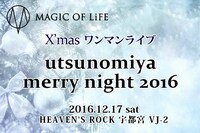 「utsunomiya merry night 2016」告知画像