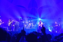 Galileo Galilei「Galileo Galilei Last Live～車輪の軸～ at 日本武道館」の様子。（撮影：エンドウアキラ）