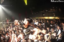 ReVision of Sence「八面楚歌リリース記念ワンマンツアー」東京・clubasia公演の様子。（Photo by Shingo Tamai）