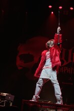 Shindy（Vo / Anli Pollicino）