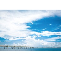 SUNs「南風」ジャケット