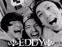 EDDY