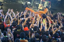 POLYSICS「TOISU!!!感謝祭」の様子。（撮影：緒車寿一）