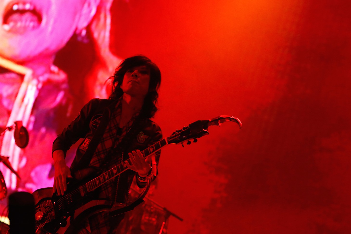 KIYOSHI（G / hide with Spread Beaver）