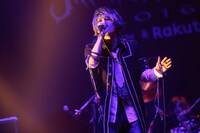 智（Vo / vistlip）