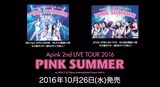 「Apink 2nd LIVE TOUR 2016「PINK SUMMER」トレイラー映像のワンシーン。