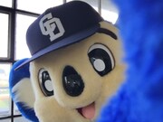 ドアラの自撮り画像。