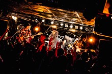 夜の本気ダンス