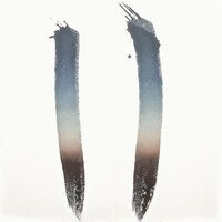 The Skateboard Kids「NEWTOPIA」ジャケット