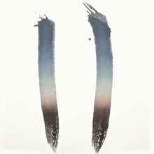 The Skateboard Kids「NEWTOPIA」ジャケット