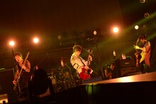 BLUE ENCOUNT (c)テレビ朝日 ドリームフェスティバル 2016