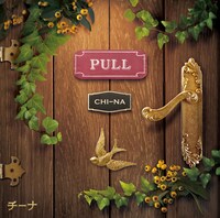 チーナ「PULL」ジャケット