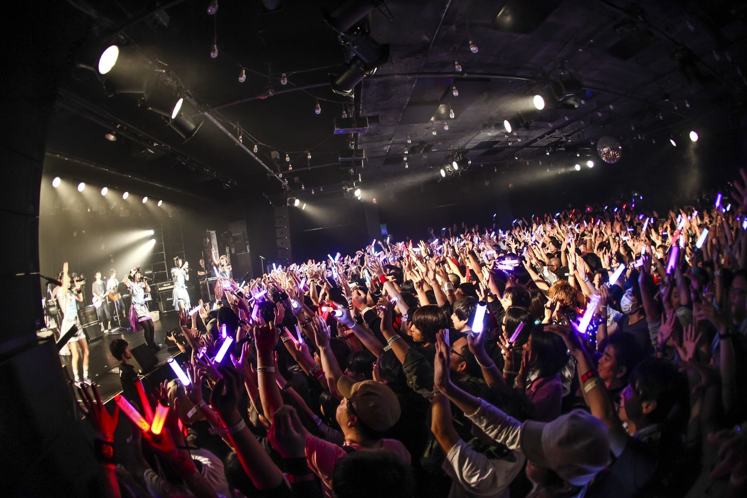 「WE ARE A ROCK FESTIVAL TOUR FINAL -RETURN TO ZERO-」の会場の様子。（撮影：Shingo Tamai）