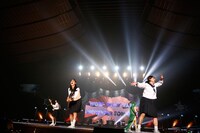 DISH//（撮影：山内洋枝）