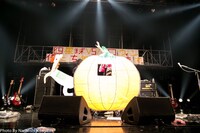 「出世街道2016『四星球VSハロウィン ～僕たち年中やってます。～』」の様子。（Photo by Naritoshi Kitagawa）