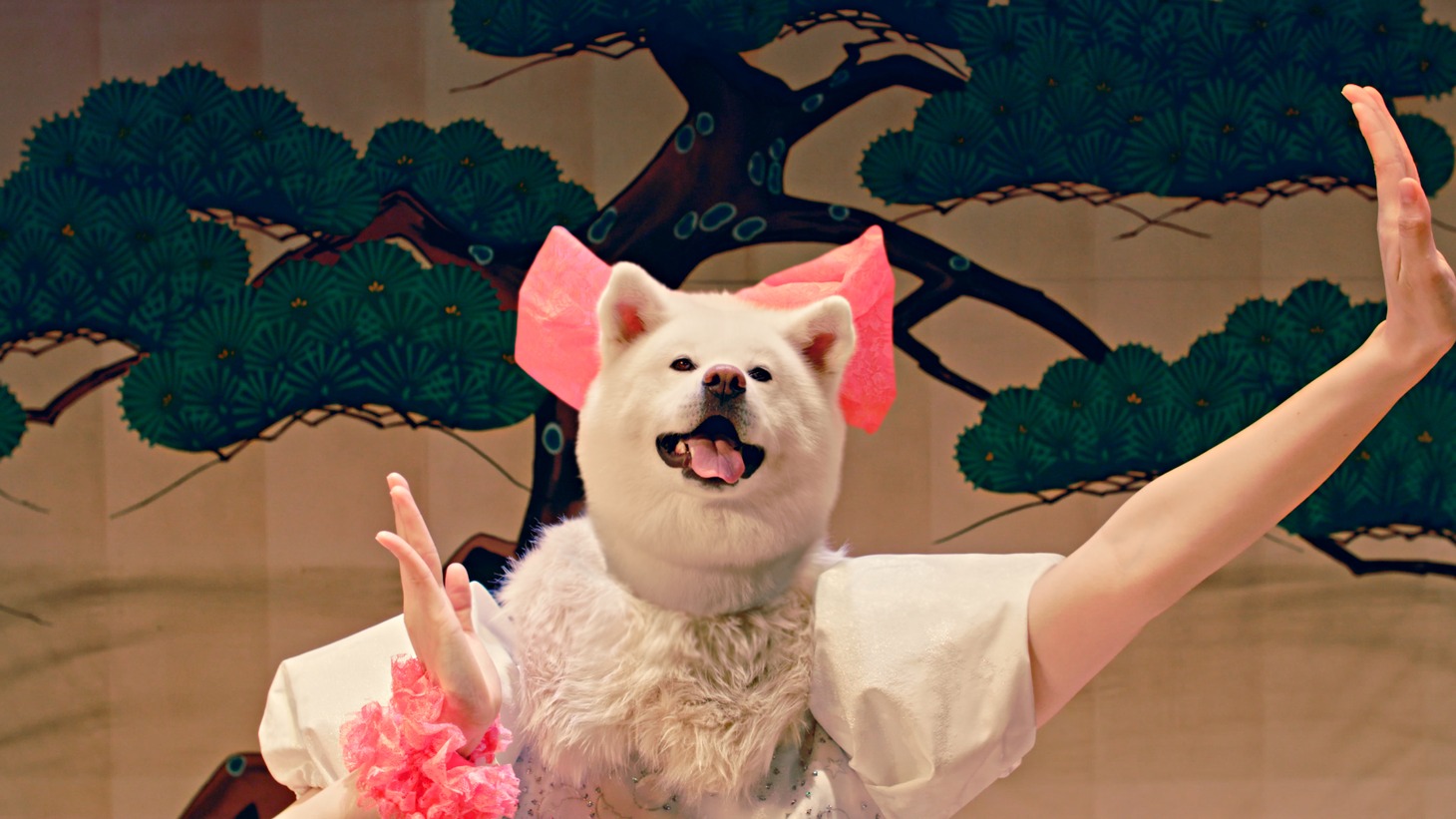 センターの茂子。