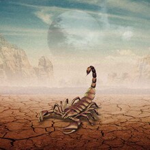 Especia「Mirage」アナログ盤ジャケット