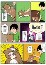 「鴻池剛と猫のぽんた ニャアアアン！2」より