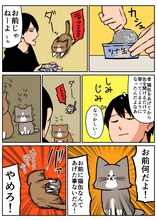 「鴻池剛と猫のぽんた ニャアアアン！2」より