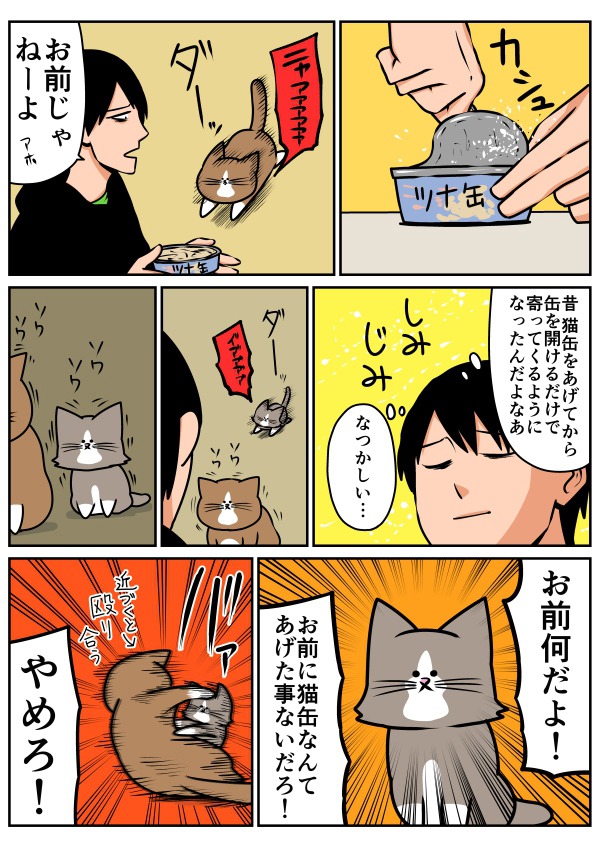 「鴻池剛と猫のぽんた ニャアアアン！2」より