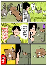 「鴻池剛と猫のぽんた ニャアアアン！2」より