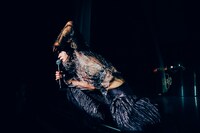 「水曜日のカンパネラ・ワンマンライブツアー2016 ～SUPERMAN～」神奈川・CLUB CITTA'公演の様子。（撮影：横山マサト）