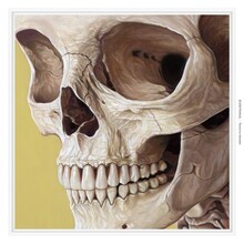 石野卓球「EUQITANUL」ジャケット