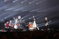 The Winking Owl（撮影：山内洋枝）