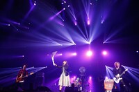 The Winking Owl（撮影：山内洋枝）