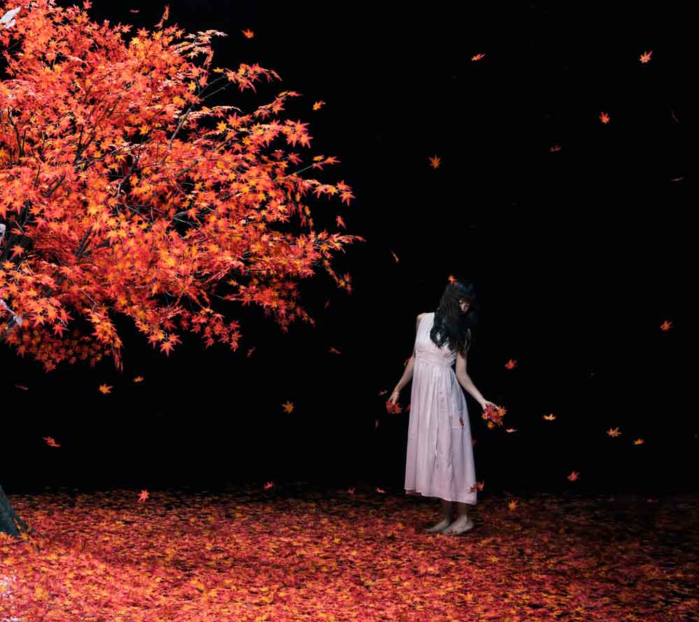 Aimer「茜さす / everlasting snow」初回限定盤Aジャケット